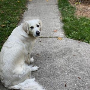 Meet your Posher, Patti